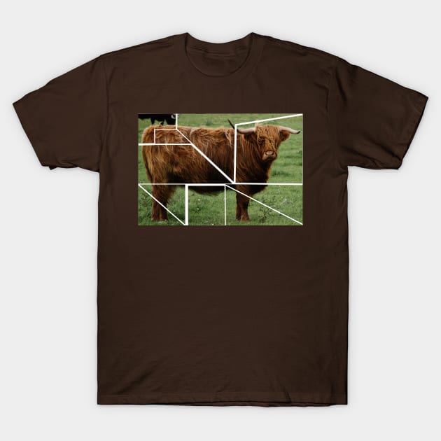 Brown Scottish Highland Cow T-Shirt by Michael's Art